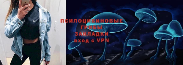 ешки Липки