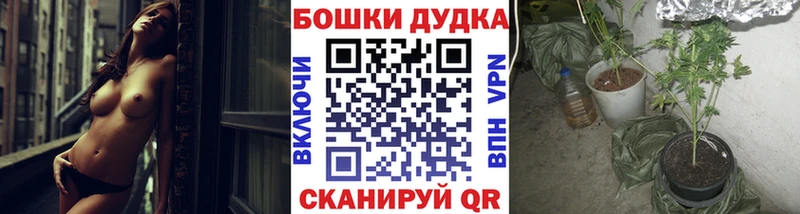 Конопля гибрид  Купить закладки  Гусиноозёрск 